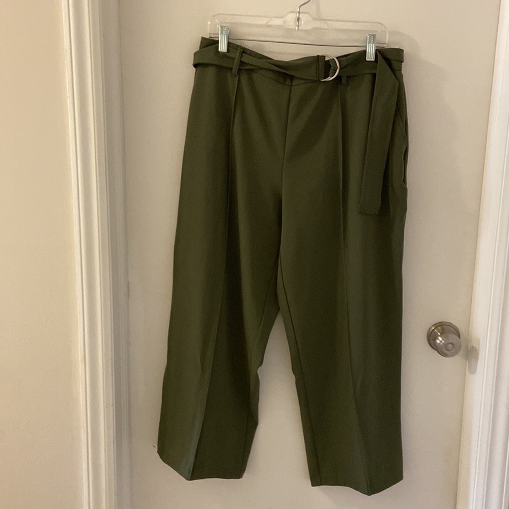 Nicole Miller Green Pull-On Cropped Pants Large